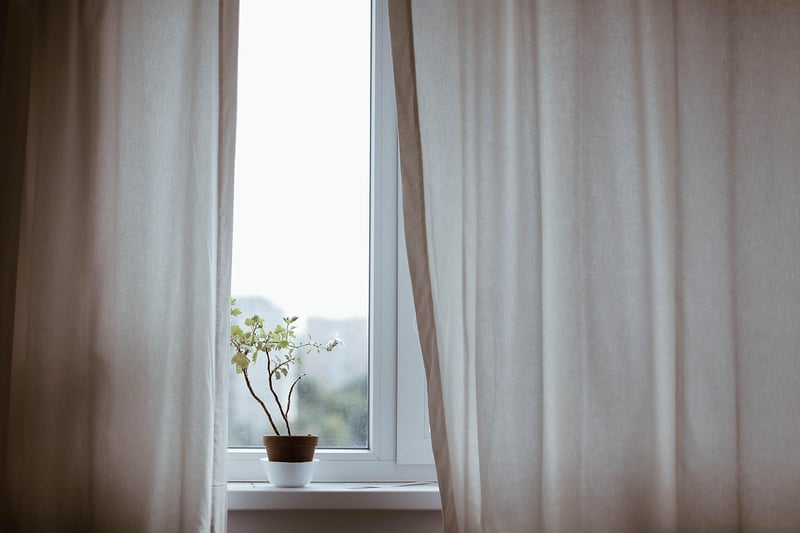 Indoor Plant Solutions