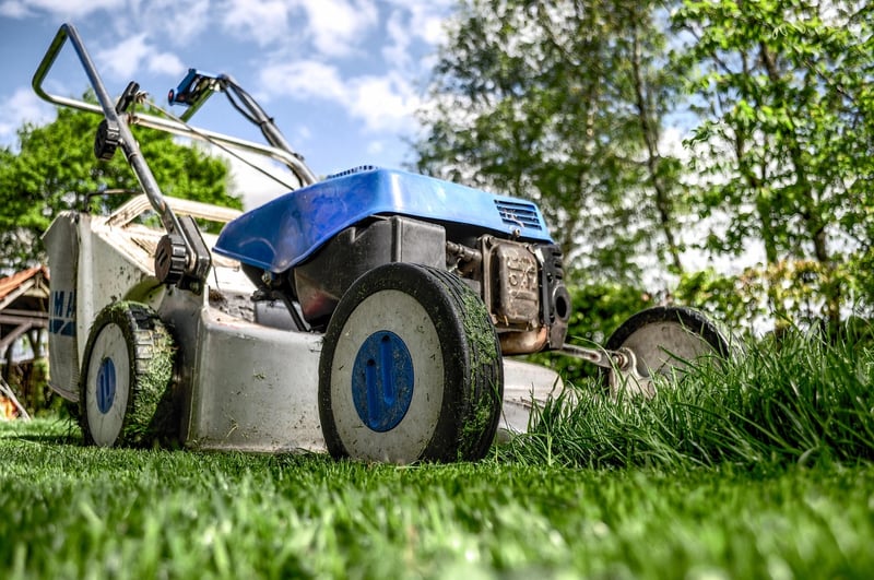 Gardening and Garden Maintenance